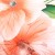 posciel-satyna-bawelniana-12422-140x200-1posz-70x8.jpg