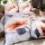 posciel-satyna-bawelniana-12409-220x200-2posz-50x7.jpg