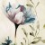 posciel-bawelniana-71501-1-160x200-cottonlove-prz.jpg