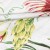 posciel-bawelniana-71508-1-180x200-cottonlove.jpg