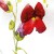 posciel-bawelniana-71507-1-160x200-cottonlove.jpg