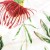posciel-bawelniana-71508-1-160x200-cottonlove.jpg