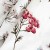 posciel-bawelniana-71510-1-160x200-cottonlove.jpg