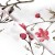 posciel-bawelniana-71510-1-220x200-cottonlove.jpg