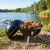 pol_pl_Grill-weglowy-stalowy-kulisty-przenosny-31x31x41-cm-19308_6.jpg