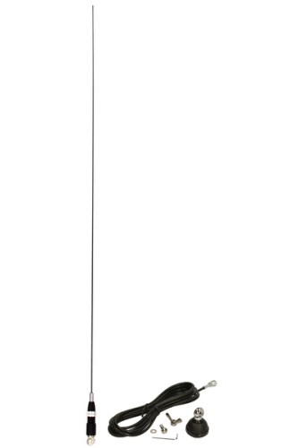 cb_am_snake-27_#1.jpg