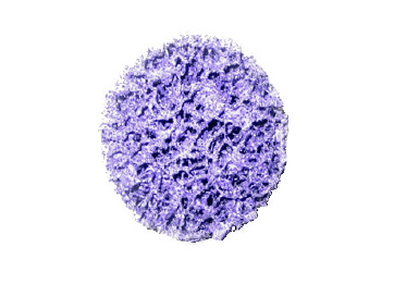 77bc403d15611766a573e51f86a7cc18