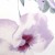 posciel-satyna-bawelniana-1562-1-160x200-satynlove.jpg
