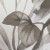 posciel-flanela-31525-2-220x200-flanelove.jpg