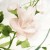 posciel-flanela-31525-1-180x200-flanelove.jpg