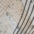 posciel-bawelniana-71516-1-180x200-cottonlove.jpg