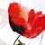 posciel-flanela-31526-1-180x200-flanelove.jpg