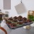 pol_pl_Forma-do-muffinek-z-papilotkami-13-el-786_4.jpg