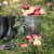 pol_pl_Wiadro-stalowe-nierdzewne-12-l-2651_5.jpg