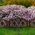 pol_pl_Plotek-ogrodowy-brazowy-50x30-cm-6-szt-5933_8.jpg