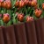 pol_pl_Palisada-ogrodowa-brazowa-2-5-m-10-el-10033_9.jpg