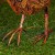 pol_pl_Figurka-ogrodowa-metalowa-bazant-64x20x40-cm-15253_6.jpg