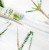 posciel-bawelniana-71463-1-160x200-cottonlove.jpg