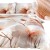 posciel-satyna-bawelniana-12415-140x200-1posz-70x8.jpg