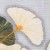 posciel-flanela-31510-1-140x200-1posz-70x80-flanel.jpg