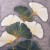 posciel-flanela-31510-2-140x200-1posz-70x80-flanel.jpg