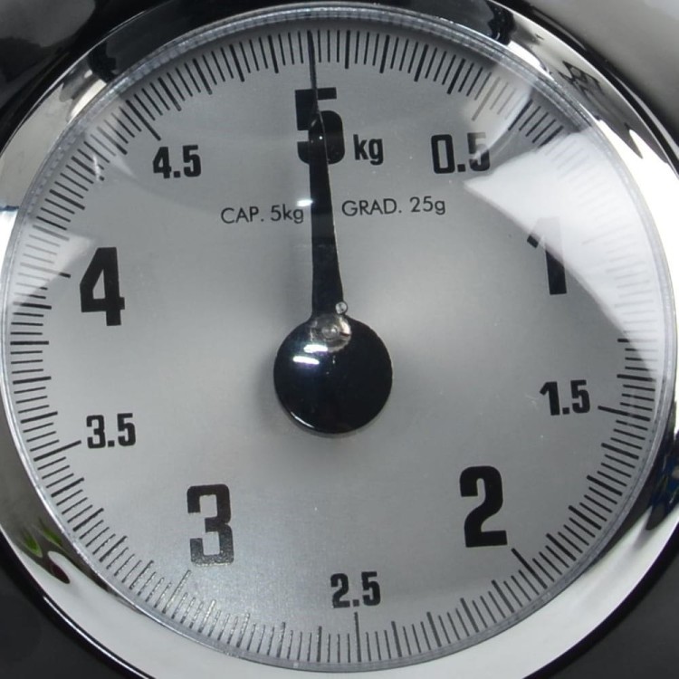 pol_pl_Waga-kuchenna-mechaniczna-z-miska-5-kg-1590_7.jpg