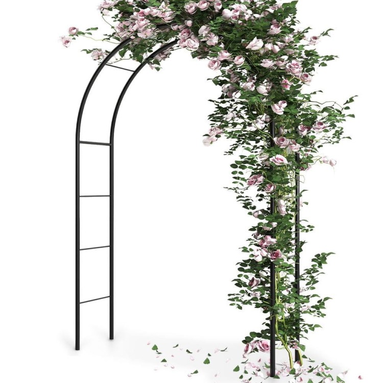 pol_pl_Pergola-ogrodowa-metalowa-145x235-cm-13996_1.jpg