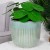 pol_pl_Doniczka-porcelanowa-zielona-17-cm-14589_2.jpg