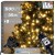 pol_pl_Lampki-choinkowe-500-LED-33-5-m-16359_1.jpg