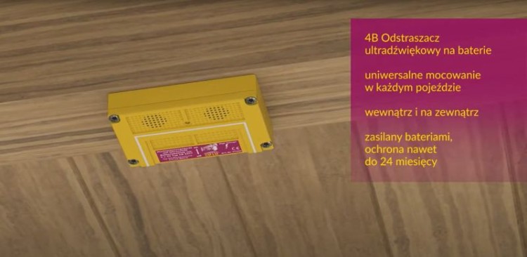 07533_#2.jpg